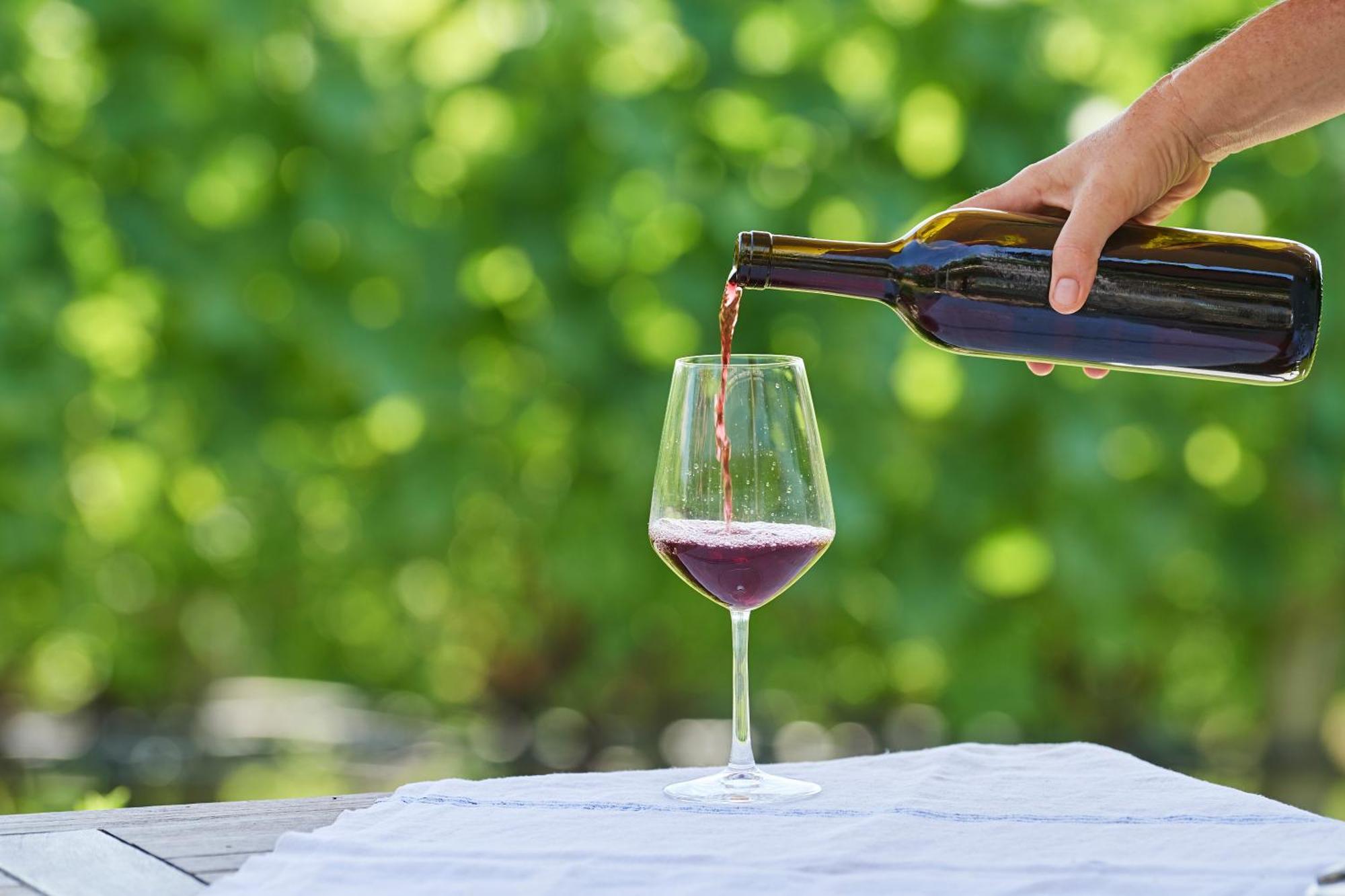 Апартаменты Weingut Stuck Аппиано-Сулла-Страда-дель-Вино Экстерьер фото