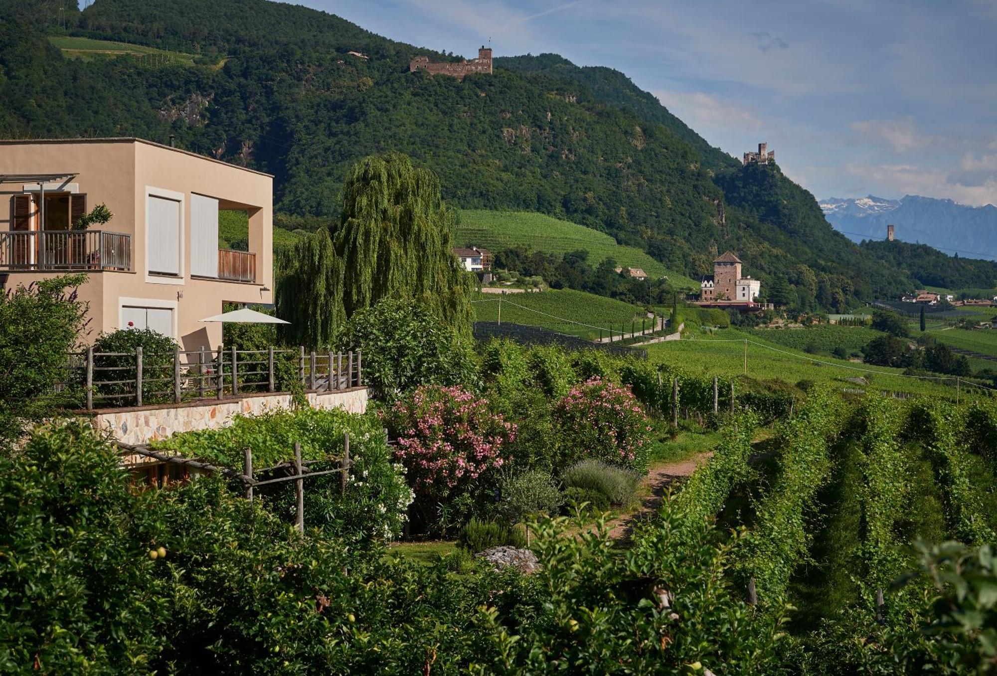 Апартаменты Weingut Stuck Аппиано-Сулла-Страда-дель-Вино Экстерьер фото
