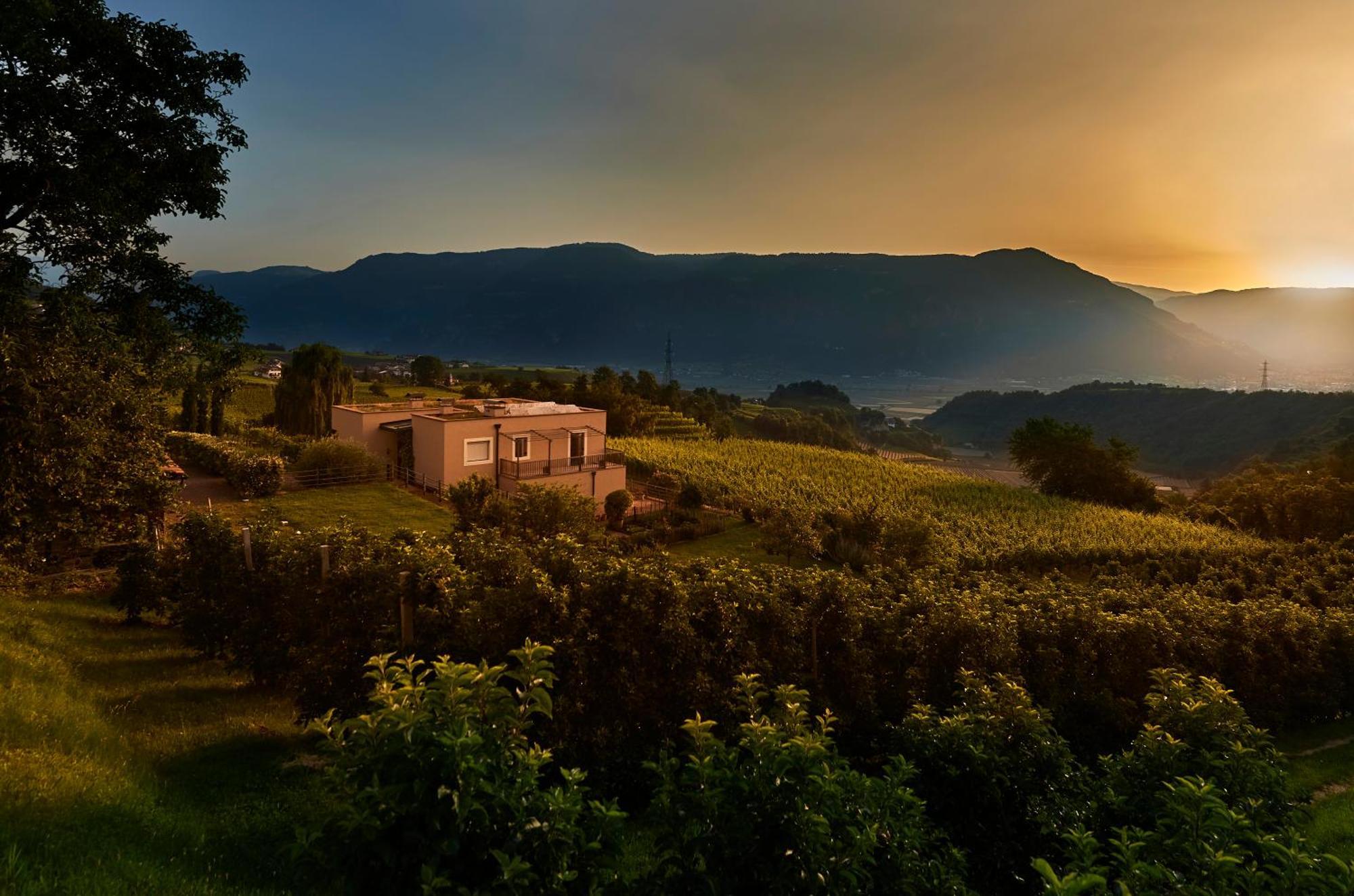 Апартаменты Weingut Stuck Аппиано-Сулла-Страда-дель-Вино Экстерьер фото