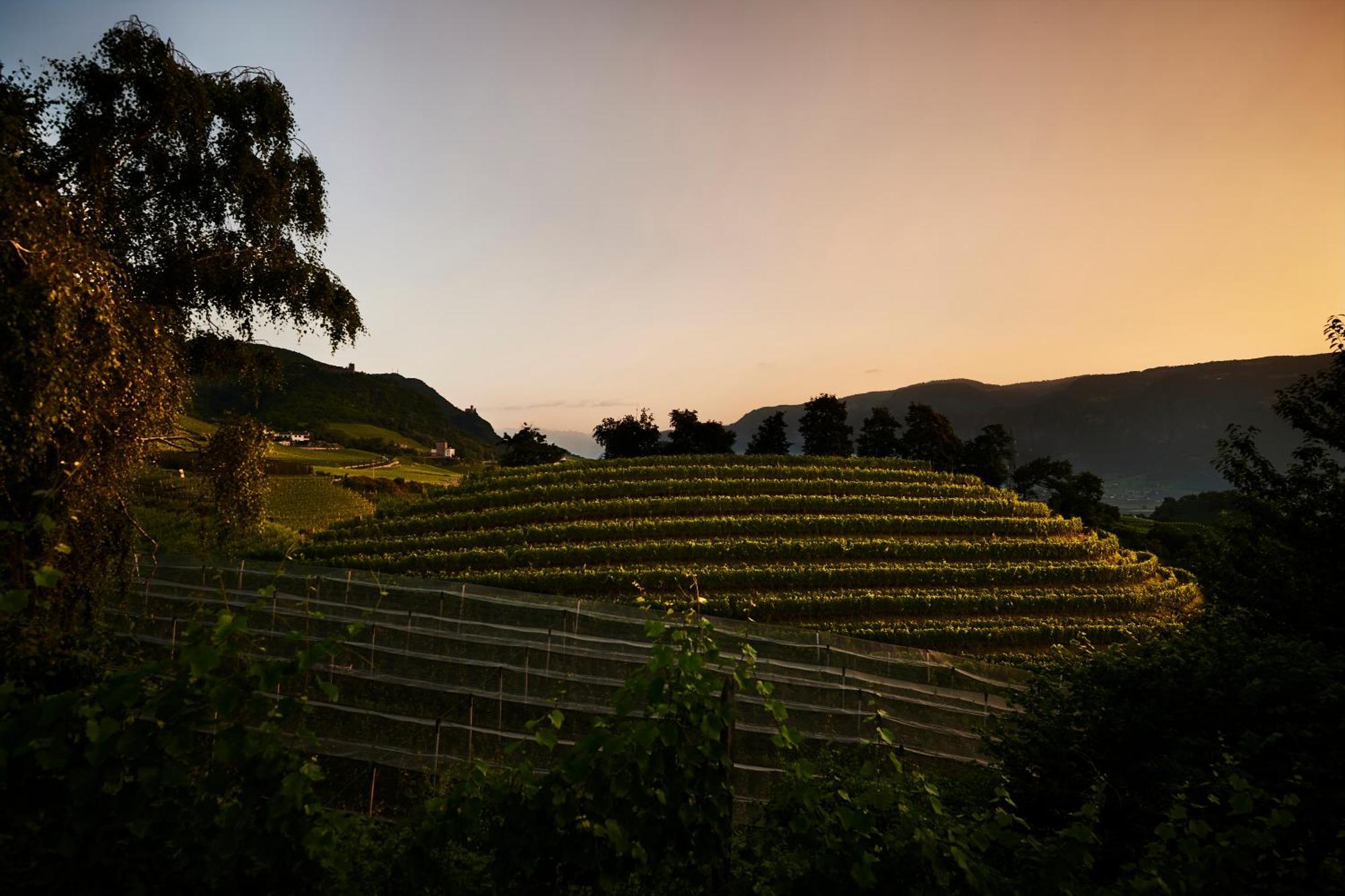 Апартаменты Weingut Stuck Аппиано-Сулла-Страда-дель-Вино Экстерьер фото